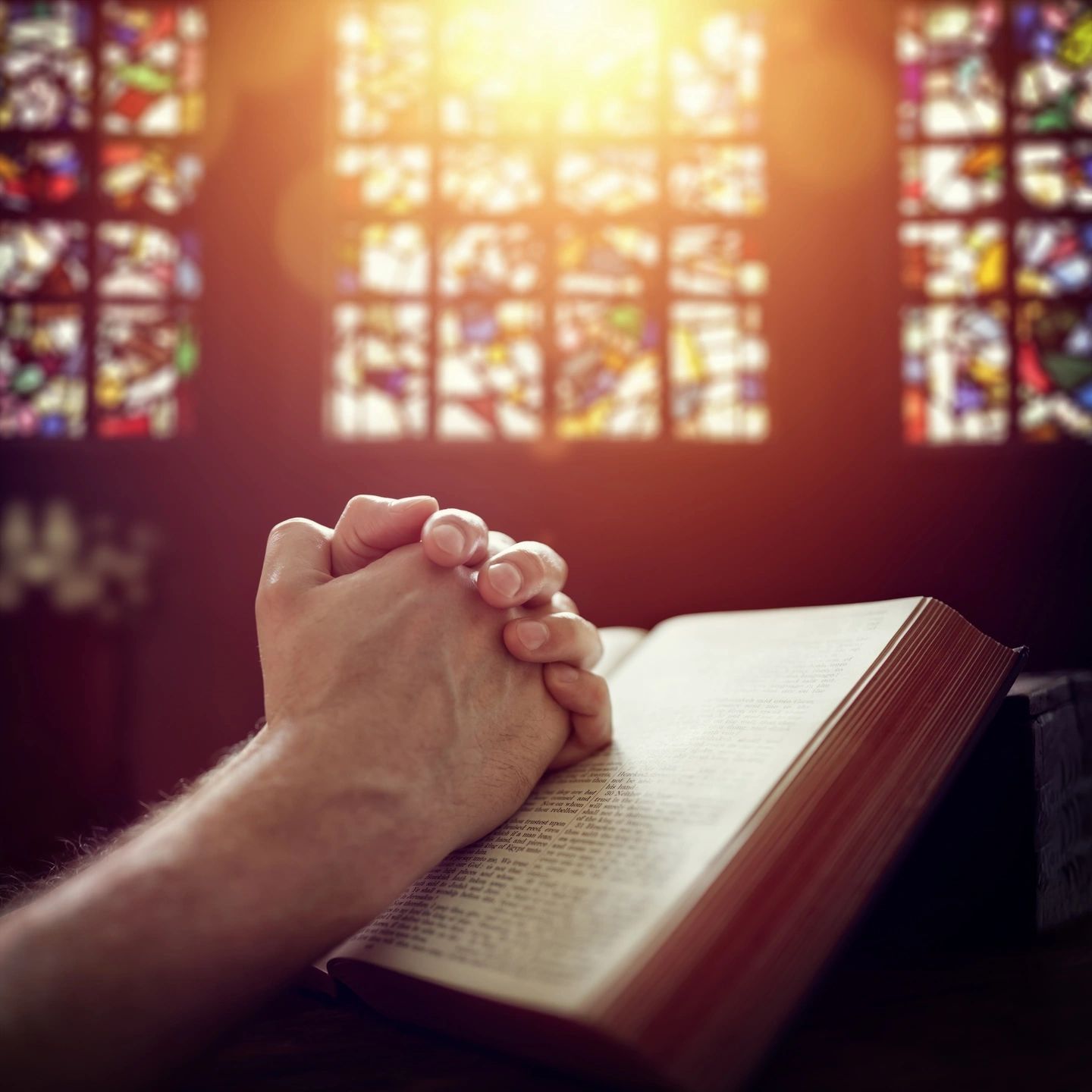 Bible Digest